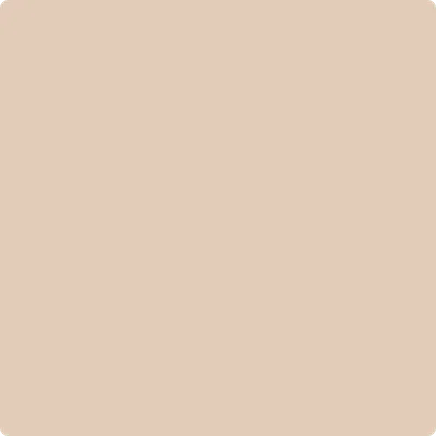 1121: Havana Tan  by Benjamin Moore