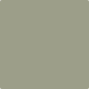 1496: Raintree Green  by Benjamin Moore