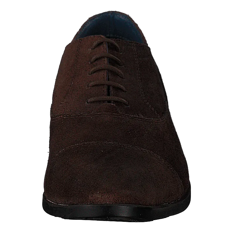 80904000.005 Brown