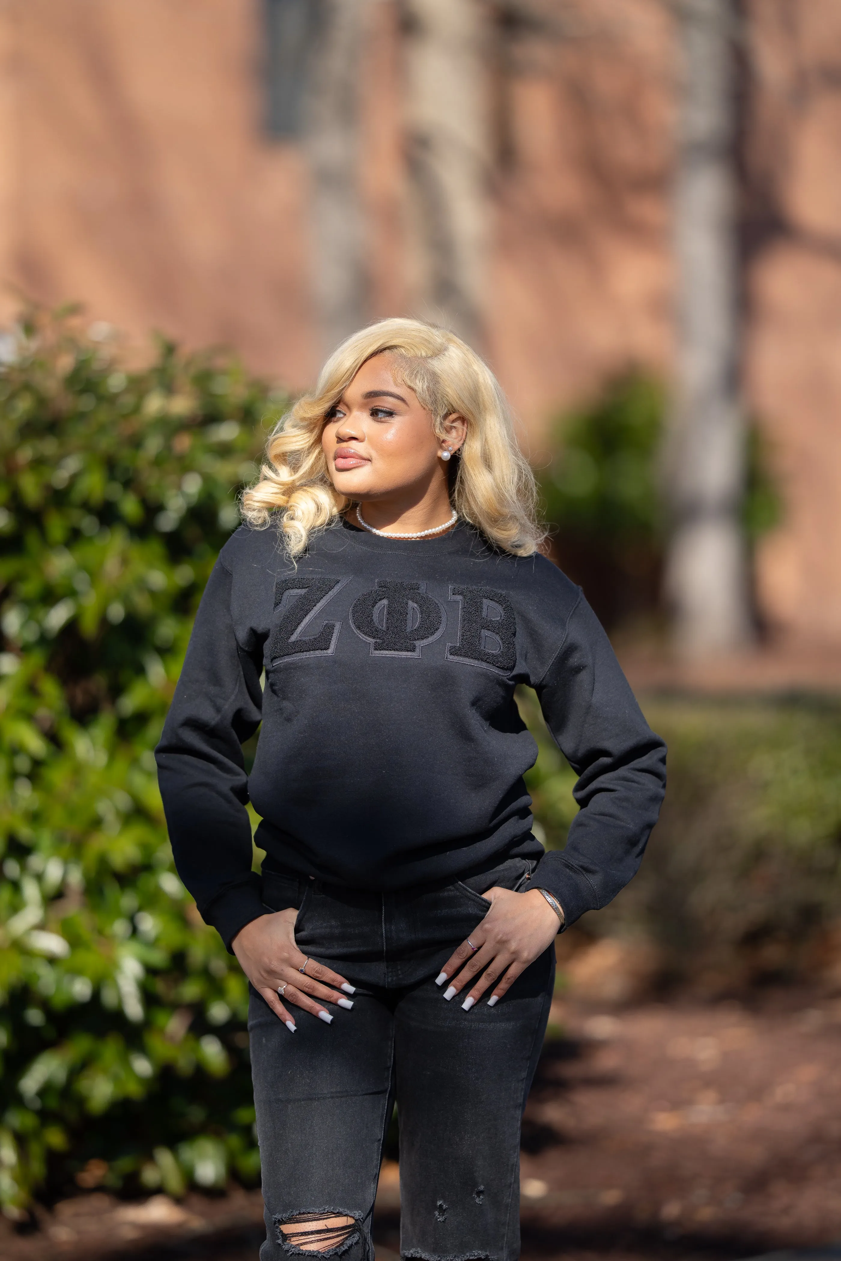 All Black ZPhiB Sweatshirt ( unisex)