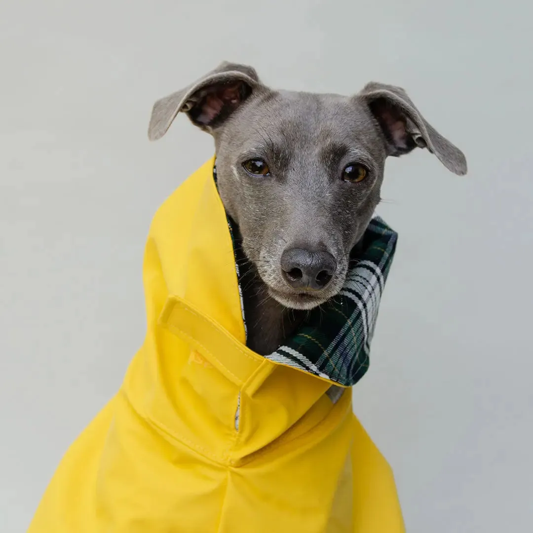 Regenmantel für Hunde "Safe From Rain" yellow