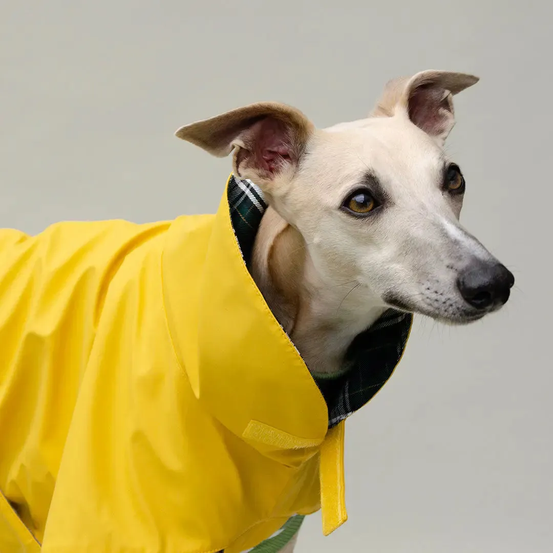 Regenmantel für Hunde "Safe From Rain" yellow