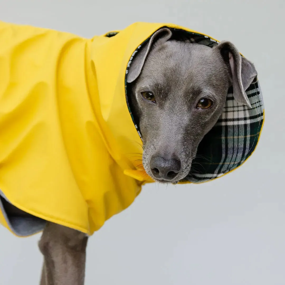 Regenmantel für Hunde "Safe From Rain" yellow